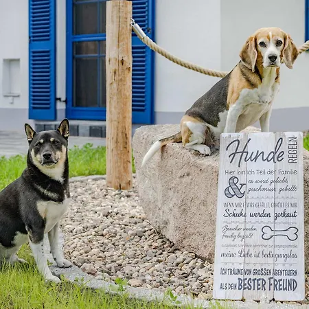 Stoertebeker - * Zirchow